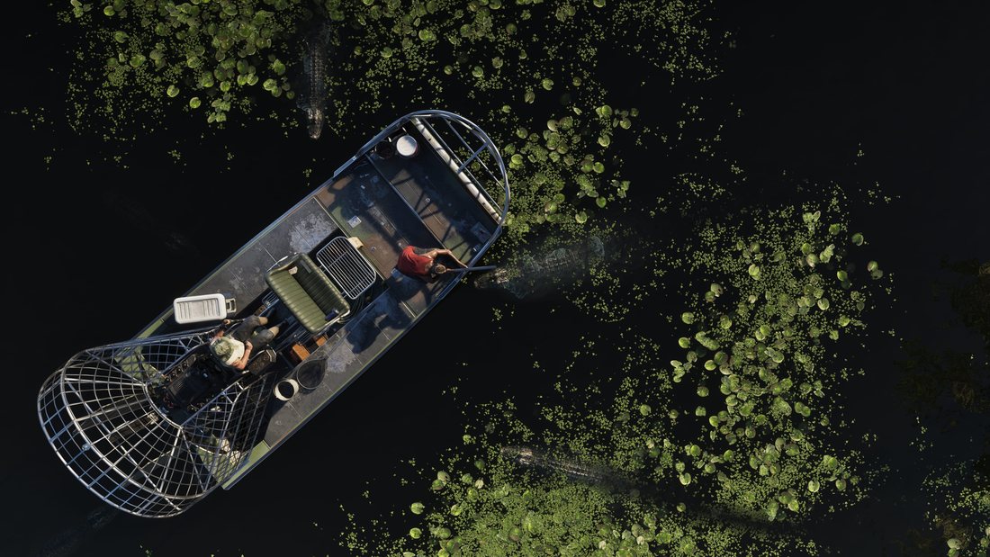An overhead shot of an airboat cutting through dark swamp water covered in lily pads, with alligators visible in the weeds either side.